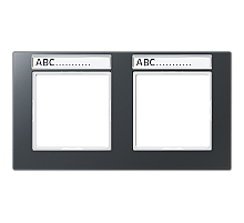 Рамка двухместная с полем для надписи Jung AC5820BFNAANM