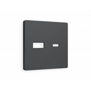 Лицевая панель для розетки 2USB тип A+C Ambrella Volt Alfa AP9110