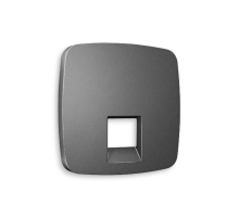 Лицевая панель для компьютерной/телефонной розетки RJ-45/RJ-11 Ambrella Volt Omega OP6620