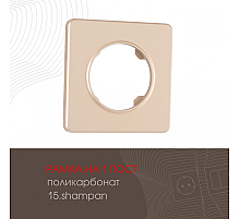 Рамка одноместная Arte Milano 502.15-1.shampan