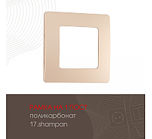 Рамка одноместная Arte Milano 517.17-1.shampan