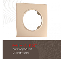 Рамка одноместная Arte Milano 502.04-1.shampan