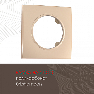 Рамка одноместная Arte Milano 502.04-1.shampan