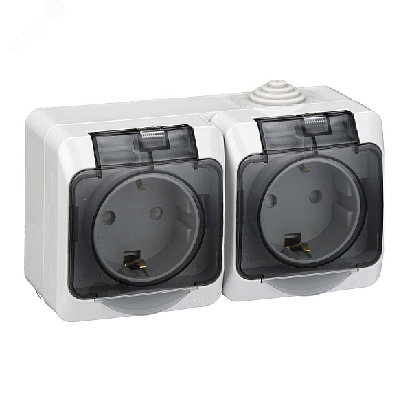 Розетка двойная 2К+З Systeme Electric Этюд 16A 250V со шторками серая PA16-244C