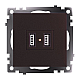 Розетка двухместная USB Stekker Катрин шоколад GLS10-7115-04 49027