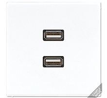 Розетка USB Jung MALS1153