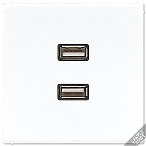 Розетка USB Jung MALS1153