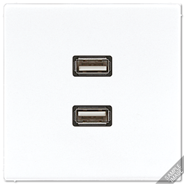 Розетка USB Jung MALS1153