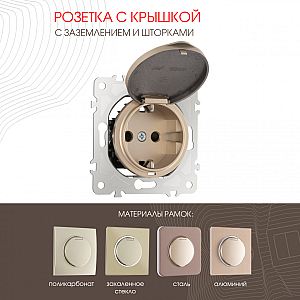 Розетка с заземлением, шторками и защитной крышкой Arte Milano 202.41-1.shampan