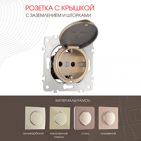 Розетка с заземлением, шторками и защитной крышкой Arte Milano 202.41-1.shampan