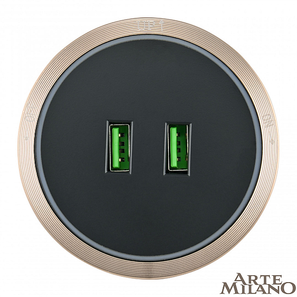 Трековая розетка Arte Milano Am-track-sockets 380066TS LED/USBx2 Gold