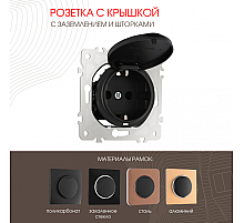 Розетка с заземлением, шторками и защитной крышкой Arte Milano 202.41-1.black