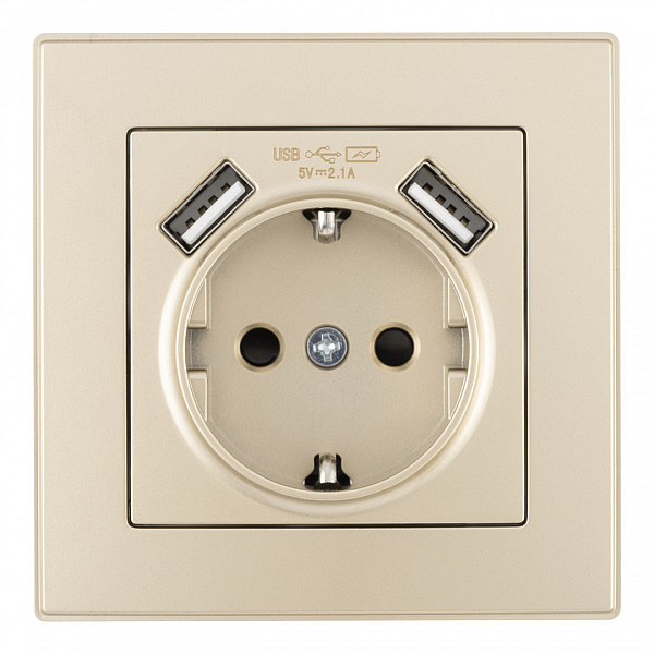 Комплект розетки с/з и шторками + USB и рамкой Arte Milano SET06-1-47-1 shampan