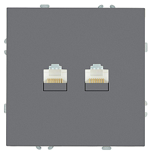 Розетка компьютерная 2-местная RJ-45 Stekker Эмили RST00-5111-10 49952