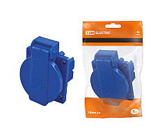 Розетка панельная РП10-3 скрытая с крышкой TDM Electric SQ0606-0001