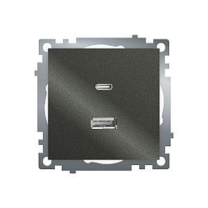 Розетка 2-местная USB + type C Stekker Катрин GLS10-7116-06 50052