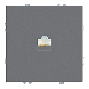 Розетка компьютерная 1-местная RJ-45 Stekker RST00-5117-10 Эмили 49951