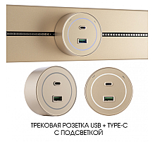 Трековая розетка Arte Milano Am-track-sockets-39 399732TS/USB-Type-C Gold