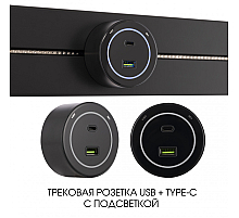 Трековая розетка Arte Milano Am-track-sockets-39 399732TS/USB-Type-C Black