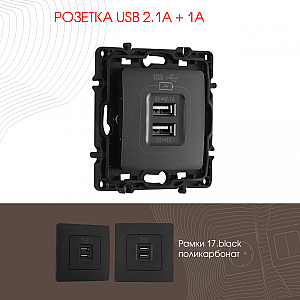 Розетка USB 2.1А+1А Arte Milano 217.46-1.black