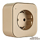 Трековая розетка Arte Milano Am-track-sockets 380022TS/ES Gold