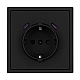 Механизм розетки с USB зарядкой Arlight SCT-NOBE-MUCC-SFPL-BK (230V, 16A) 061813