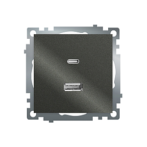 Розетка 2-местная USB + type C Stekker Катрин GLS10-7116-06 50052