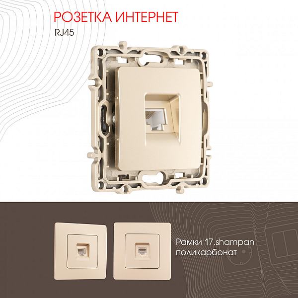 Розетка RJ45 Arte Milano 217.45-1.shampan