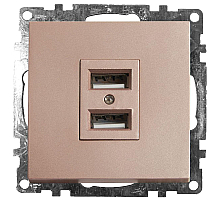 Розетка USB 2-местная Stekker Катрин 39602