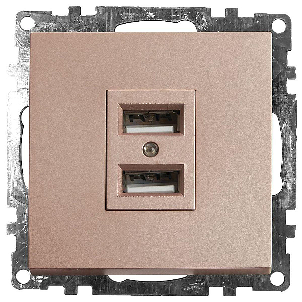 Розетка 2хUSB Stekker Катрин шампань GLS10-7115-02 39602