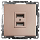 Розетка 2хUSB Stekker Катрин шампань GLS10-7115-02 39602