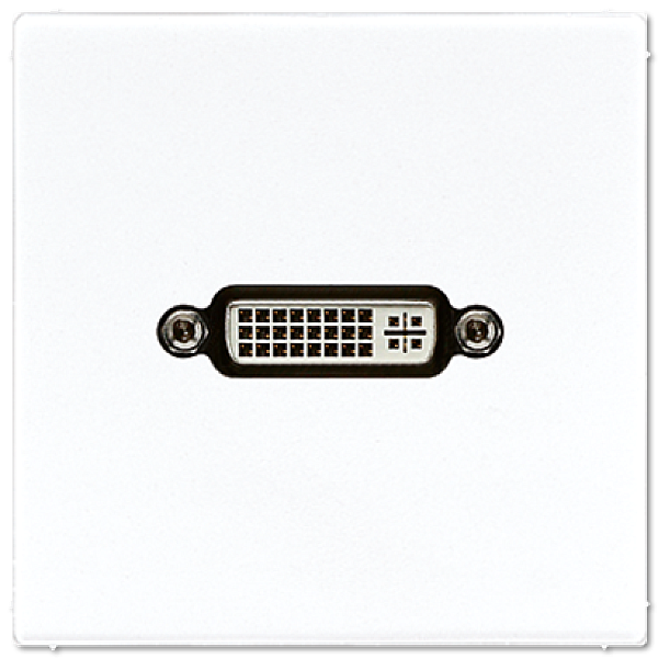 Розетка DVI Jung MALS1193WW
