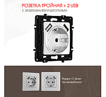 Розетка с заземлением, шторками + 2 USB Arte Milano 217.47-1.silver