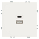 Розетка двухместная USB + Type C Stekker Эмили белый фарфор RST10-5115-01 49879