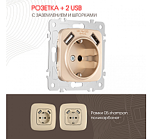 Розетка с заземлением, шторками + 2 USB Arte Milano 205.47-1.shampan