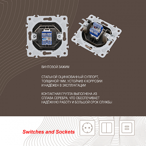 Розетка RJ45 Arte Milano 206.45-1.shampan