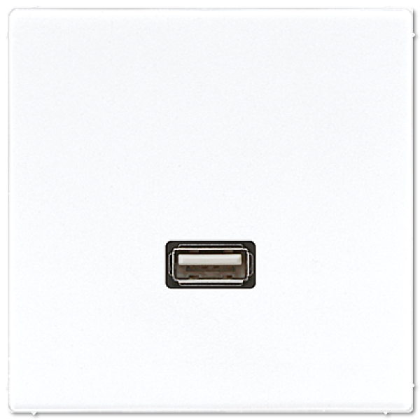 Розетка USB Jung MALS1122WW