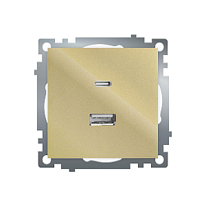 Розетка 2-местная USB + type C Stekker Катрин GLS10-7116-08 50053