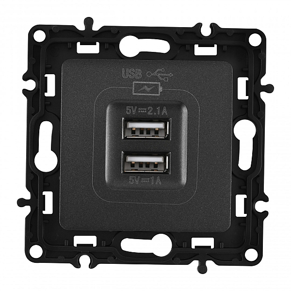 Розетка USB 2.1А+1А Arte Milano 217.46-1.black