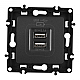 Розетка USB 2.1А+1А Arte Milano 217.46-1.black