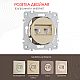 Розетка телефонная RJ11 + компьютерная RJ45 Arte Milano 202.44-1.shampan