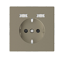 Розетка компьютерная USBx2 Schneider Electric Merten D-Life MTN2366-6033