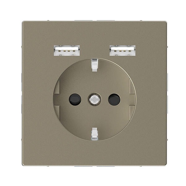Розетка компьютерная USBx2 Schneider Electric Merten D-Life MTN2366-6033