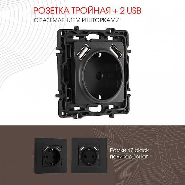 Розетка с заземлением, шторками + 2 USB Arte Milano 217.47-1.black