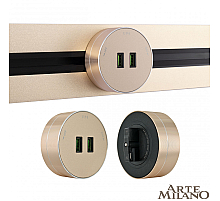 Трековая розетка Arte Milano Am-track-sockets 380011TS/USBx2 Gold
