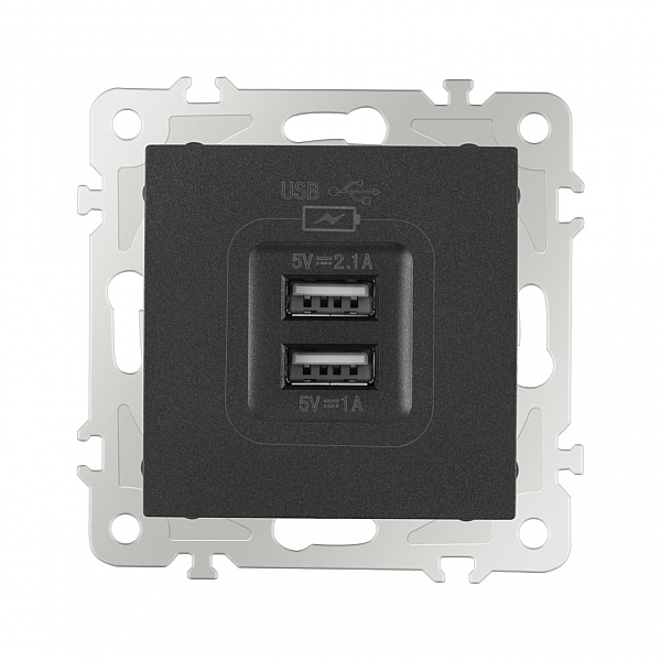 Розетка USB 2.1А+1А Arte Milano 206.46-1.black