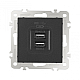 Розетка USB 2.1А+1А Arte Milano 206.46-1.black