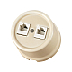 Розетка двойная компьютерная RJ45 сл. кость Болонь TDM Electric SQ1820-0351
