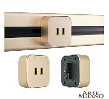 Трековая розетка Arte Milano Am-track-sockets 380022TS/USBx2 Gold