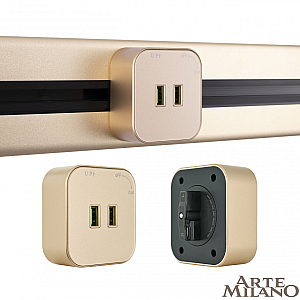 Трековая розетка Arte Milano Am-track-sockets 380022TS/USBx2 Gold